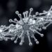 Metal nanoparticles show promise against drug-resistant superbugs