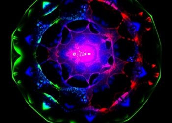 METTL3/YTHDF1-driven SURF6 boosts prostate cancer stemness through CDK4