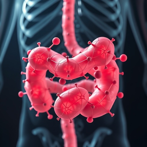 Micro–nanofibre framework traps and clears gastrointestinal microplastics