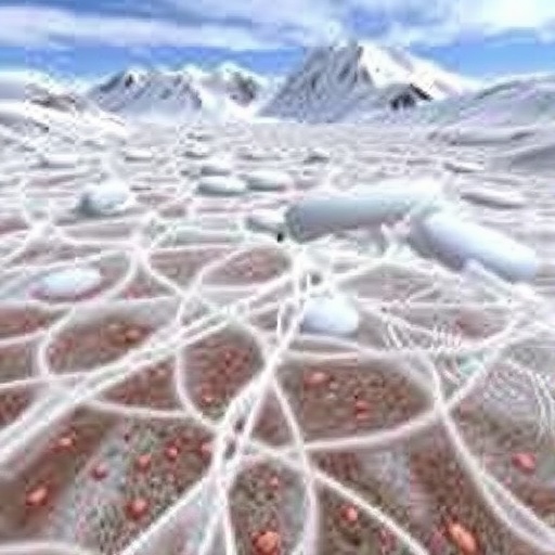Microbial niches drive species turnover on Tibetan Plateau glacier surfaces