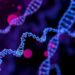 MicroRNA-218 in breast cancer: protective ally or hidden driver?