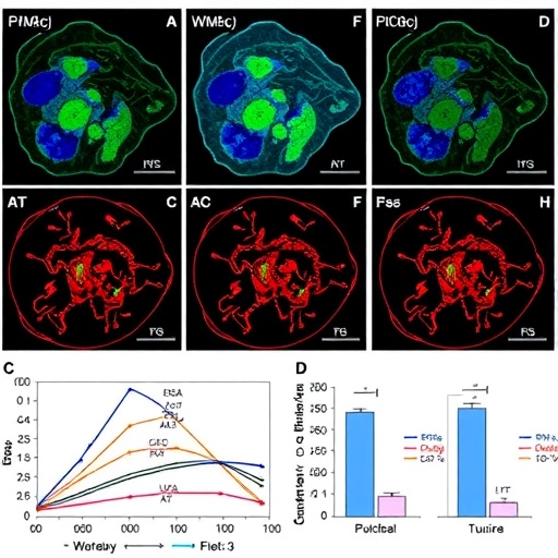Microwave ablation plus anti-LAG-3 boosts CD8+ T cell antitumor immunity