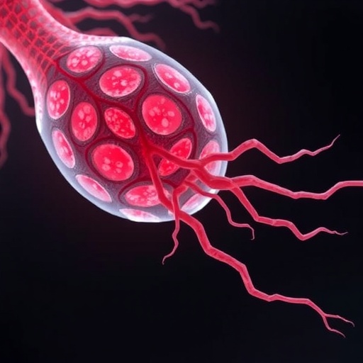 miR-150 drives embryonic blood vessel growth through ribosome-linked Notch regulation