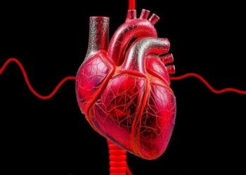 Mixed food additives linked to higher hypertension and heart disease risk