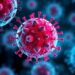 Multivalent mRNA-exosome vaccines turn cold tumors hot via immune reprogramming