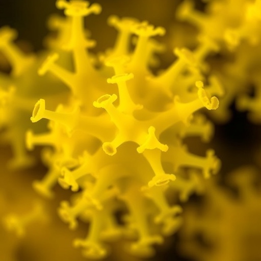 New Bacillus cereus strain from refinery sludge shows ethanol production and stress tolerance