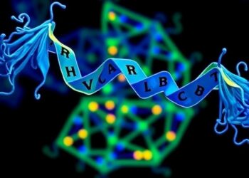 New bispecific TCR-like antibody targets PRAME complex for cancer immunotherapy