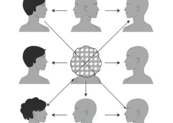 New dataset aids modeling of judgment, categorization, memory across three domains