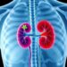 New Equation Predicts Tacrolimus Induction Dose in Kidney Transplant Patients