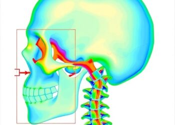 New framework automates Cobb angle measurement via two-stage anatomical reasoning