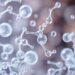 New Method Enables Microplastic Analysis in Sewage Treatment Plants
