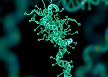 New MFCAMNet predicts miRNA-disease links via cascade attention