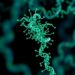 New MFCAMNet predicts miRNA-disease links via cascade attention