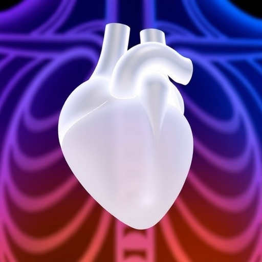 New Polycarbonate Polyurethanes Show Promise for Durable Polymer Mitral Valves