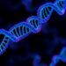 New R package Geneslator simplifies gene ID conversion and annotation