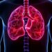 New STEAP1-targeted antibody drug conjugate boosts immune response against prostate cancer