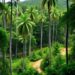 New web tool estimates forest volume, biomass, and carbon in Minas Gerais