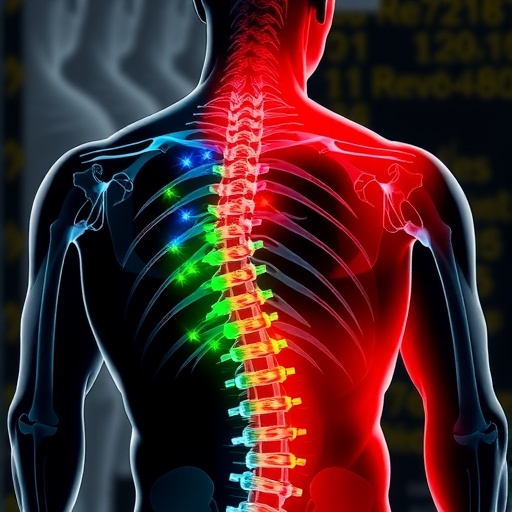 Older spinal cord injury patients show variable recovery and discharge outcomes