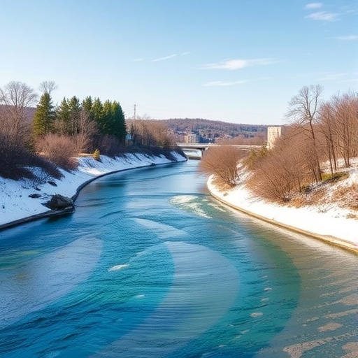 Optimizing river water quality monitoring networks in polluted regions using data-driven methods