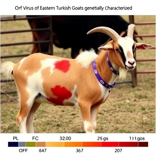 Orf Virus in Eastern Turkish Goats Genetically Characterized