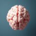 Persian Alzheimer’s Disease Knowledge Scale proves reliable among Iranian healthcare professionals and students