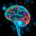 Plasma multi-omic signatures distinguish mild cognitive impairment from pre-frailty