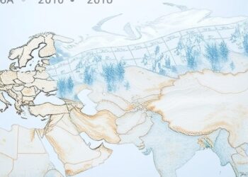 Quasi-biennial oscillation steers Ural blocking and Eurasian winter weather