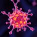 Quinoxalinone nanoparticles target endoplasmic reticulum for tumor photodynamic therapy