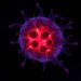 Rare ZMYND11::MBTD1 fusion defines aggressive leukemia in Chinese teens and adults