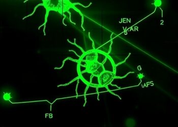 Recyclable McR-TACs enable receptor-independent degradation of extracellular proteins