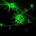Recyclable McR-TACs enable receptor-independent degradation of extracellular proteins