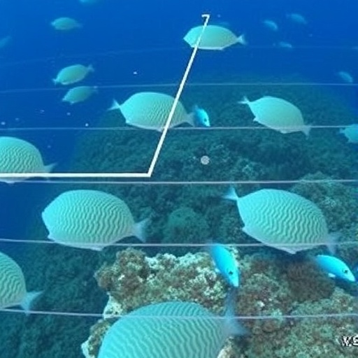 Reef communities in Indonesian archipelago shifted over millennia, study finds