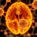 Reprogramming immune cells boosts chemotherapy response in brain cancer, Mayo study finds