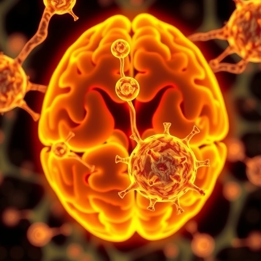 Reprogramming immune cells boosts chemotherapy response in brain cancer, Mayo study finds