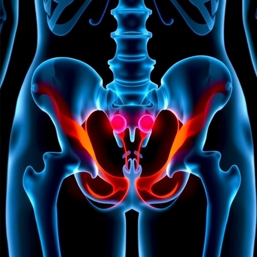 Researchers develop freehand 3D ultrasound for imaging hip bones