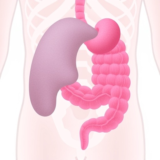 Risk factors for multicentric lower genital tract intraepithelial neoplasia revealed