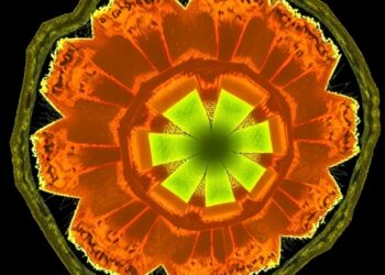 Scientists directly observe shock-formed davemaoite, a deep-Earth calcium perovskite