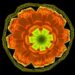 Scientists directly observe shock-formed davemaoite, a deep-Earth calcium perovskite