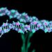 Selenium-doped carbon dots deliver dsRNA to combat Phytophthora diseases