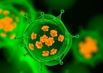 Shikonin compound triggers prostate cancer cell death through heme oxygenase-1 and ERK/p38 pathways