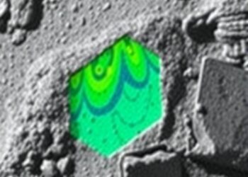 Single-Bit Faults Break Ascon Through Differential S-Box Analysis