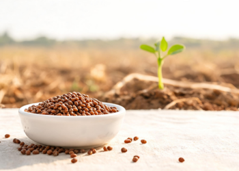 Horse Gram, the Neglected Legume That Could Help Feed a Warming World