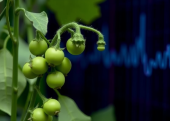 AI Reads Raman Spectra to Measure Cysteine in Pea Cultivars