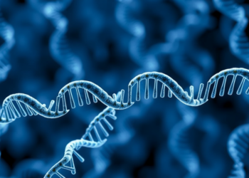 Gene Selection Gets Smarter: Co-expression Networks Meet Genetic Algorithms