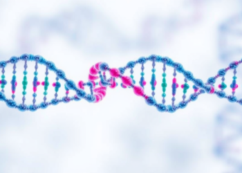 RNA Profiling Splits Deadly Dog Spleen Cancer into Three Actionable Subtypes