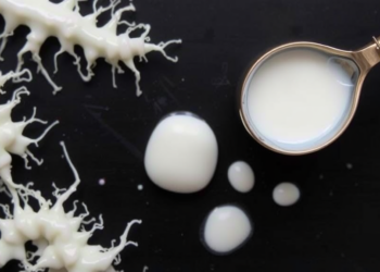 Fermented Milk Microbes From Cameroon Yield Natural Emulsifiers for Cosmetics