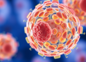 Liver Macrophages Carrying Apolipoprotein E Act as a Molecular Brake That Drives T Cell Exhaustion and Preserves Transplant Tolerance