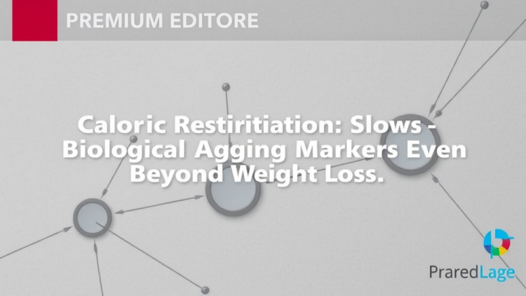 Caloric Restriction Slows Biological Aging Markers Even Beyond Weight Loss