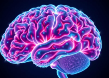 Huntington’s Disease Damages Brain Arterioles, but S1PR1 Stimulation Offers Reversal