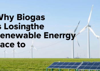 Why Biogas Is Losing the Renewable Energy Race to Wind and Solar